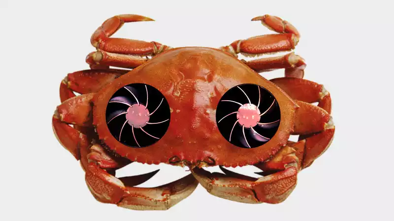 Your next PC may be made of crabs.