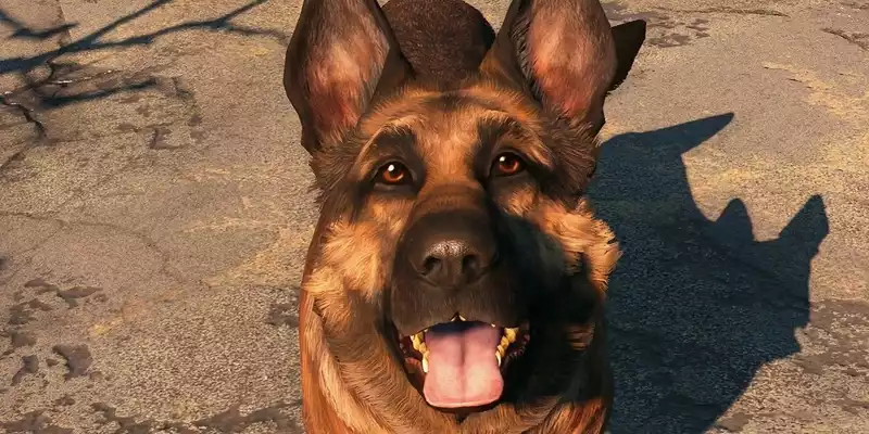 Bethesda and Xbox Donate $10,000 to Humane Society in Honor of Dog Meet