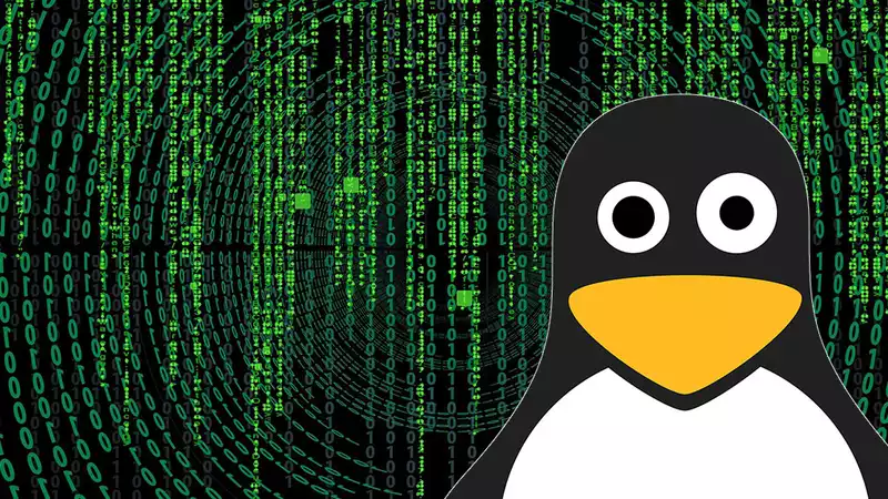 Cunning Linux malware has eluded detection for years, and experts still don't know what it does.