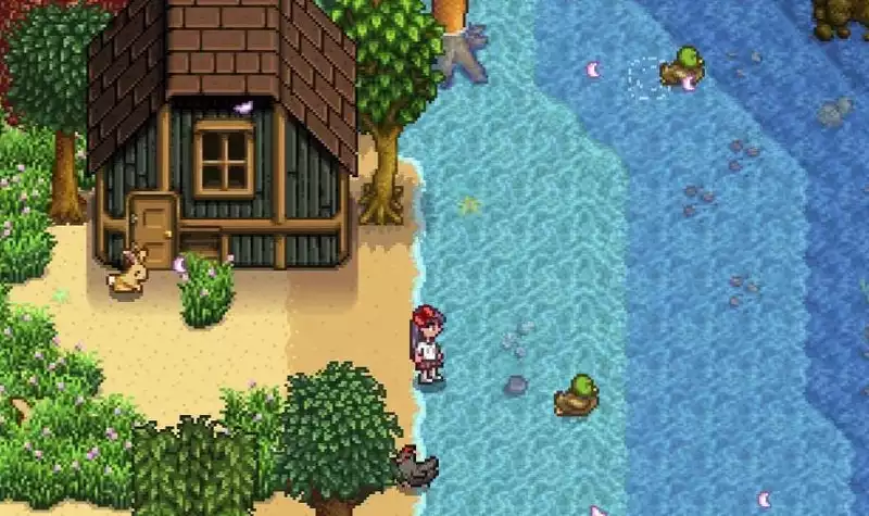 Stardew Valley" players overjoyed that ducks can now swim in the pond